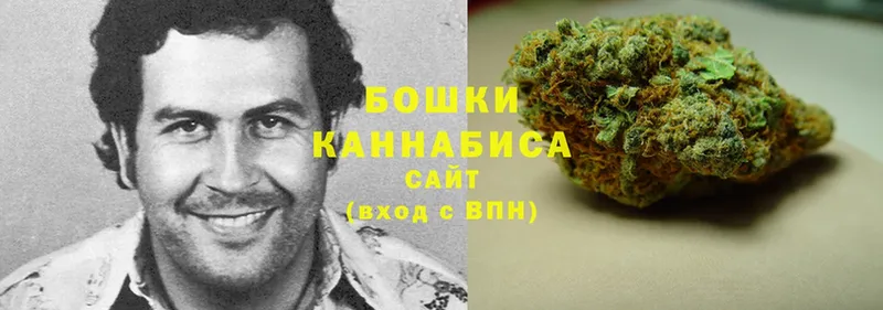 Каннабис Bruce Banner  Анапа 